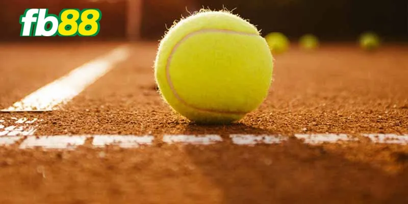 Cược chấp tennis được nhiều người quan tâm