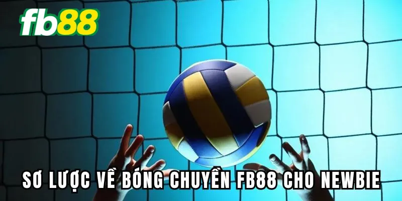 Sơ lược về bóng chuyền Fb88 cho newbie