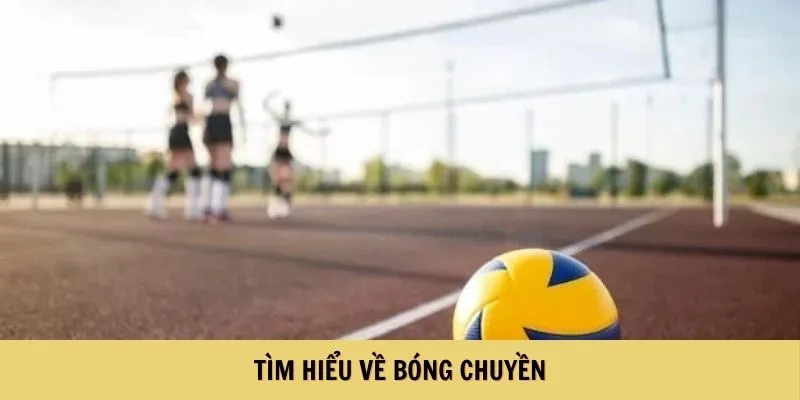 Tìm hiểu về bóng chuyền