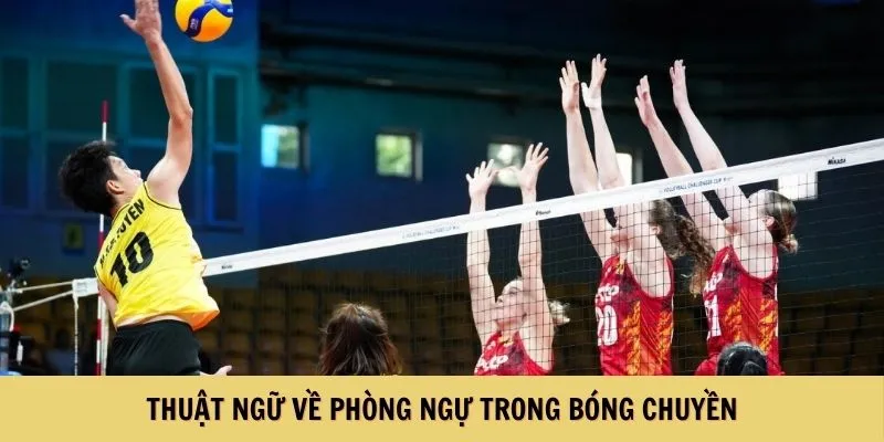 Thuật ngữ về phòng ngự trong bóng chuyền