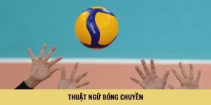 thuật ngữ bóng chuyền